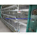 Chicken feeding cages for poultry farm